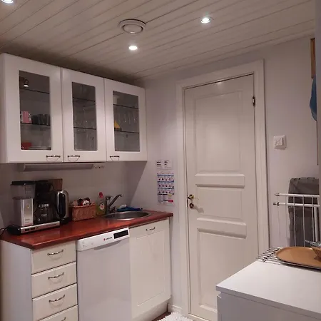 Uniikki Talo Kirjastosilta - Unique House At Centre トゥルク